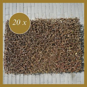 20 doornblokken